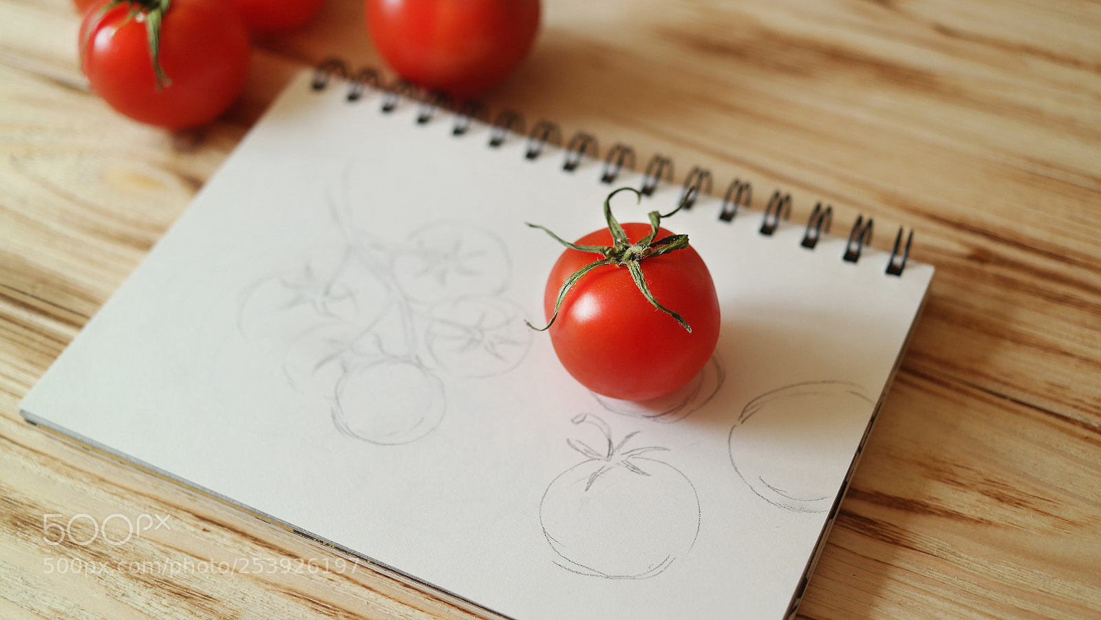 Samsung NX2000 sample photo. Sketch and tomatoes photography