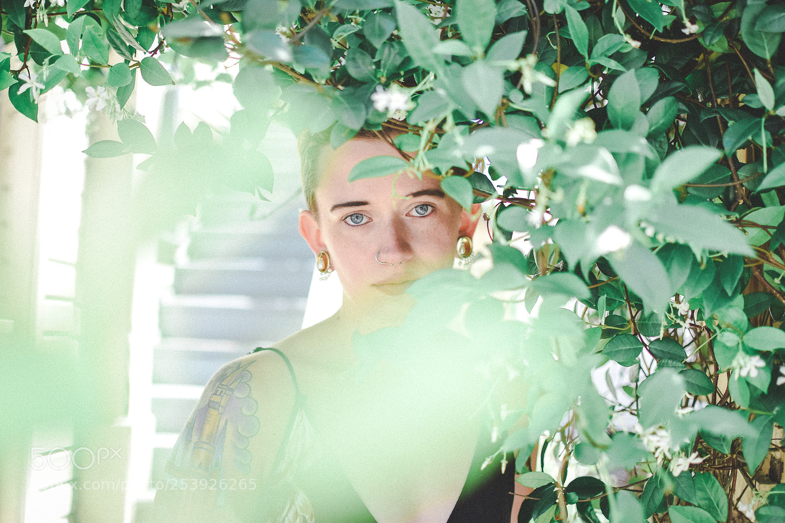 Nikon D3300 sample photo. Dana photography