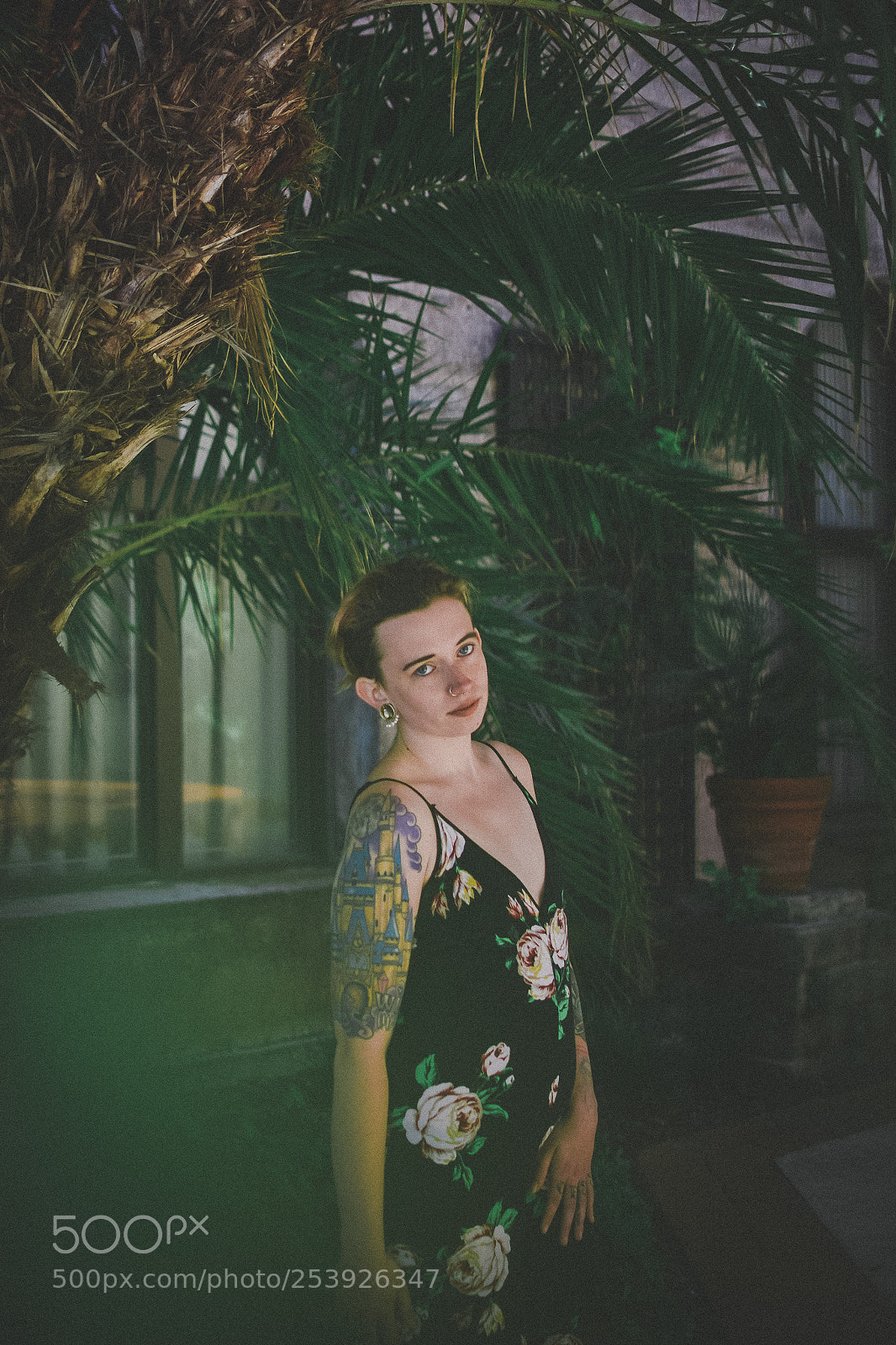 Nikon D3300 sample photo. Dana photography