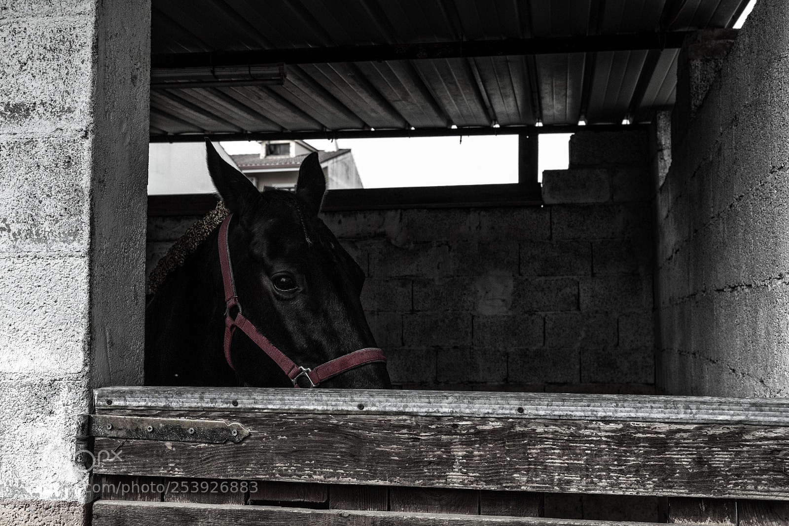 Canon EOS 700D (EOS Rebel T5i / EOS Kiss X7i) sample photo. Waiting its turn photography