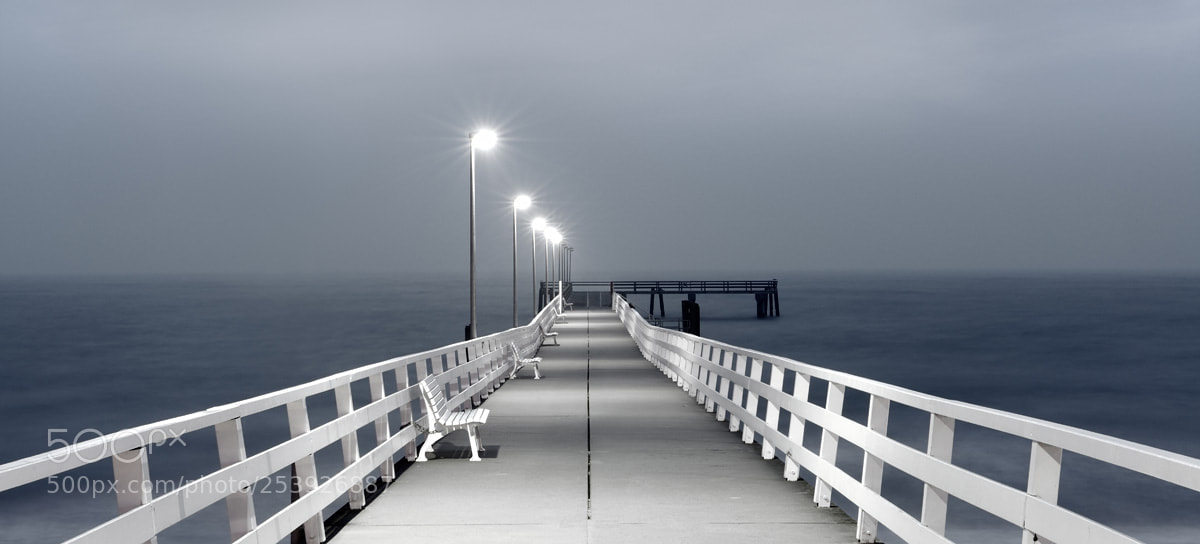 Nikon D800 sample photo. Grey area photography