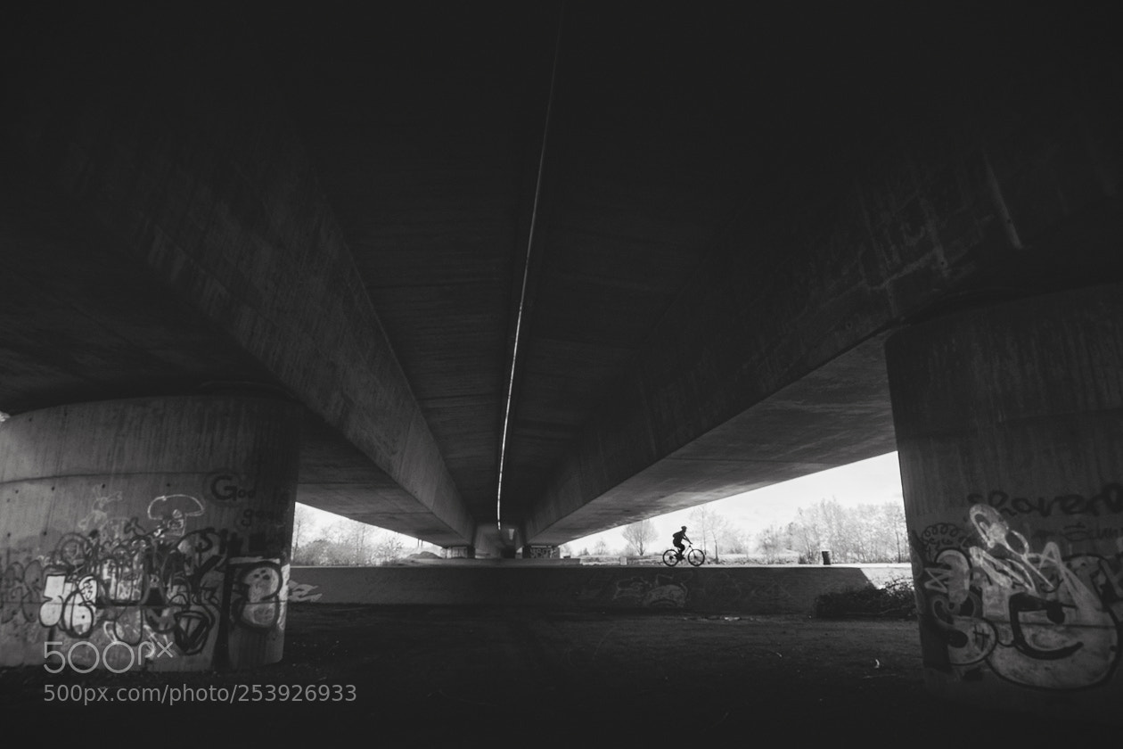 Olympus OM-D E-M5 sample photo. Under the bridge ii photography