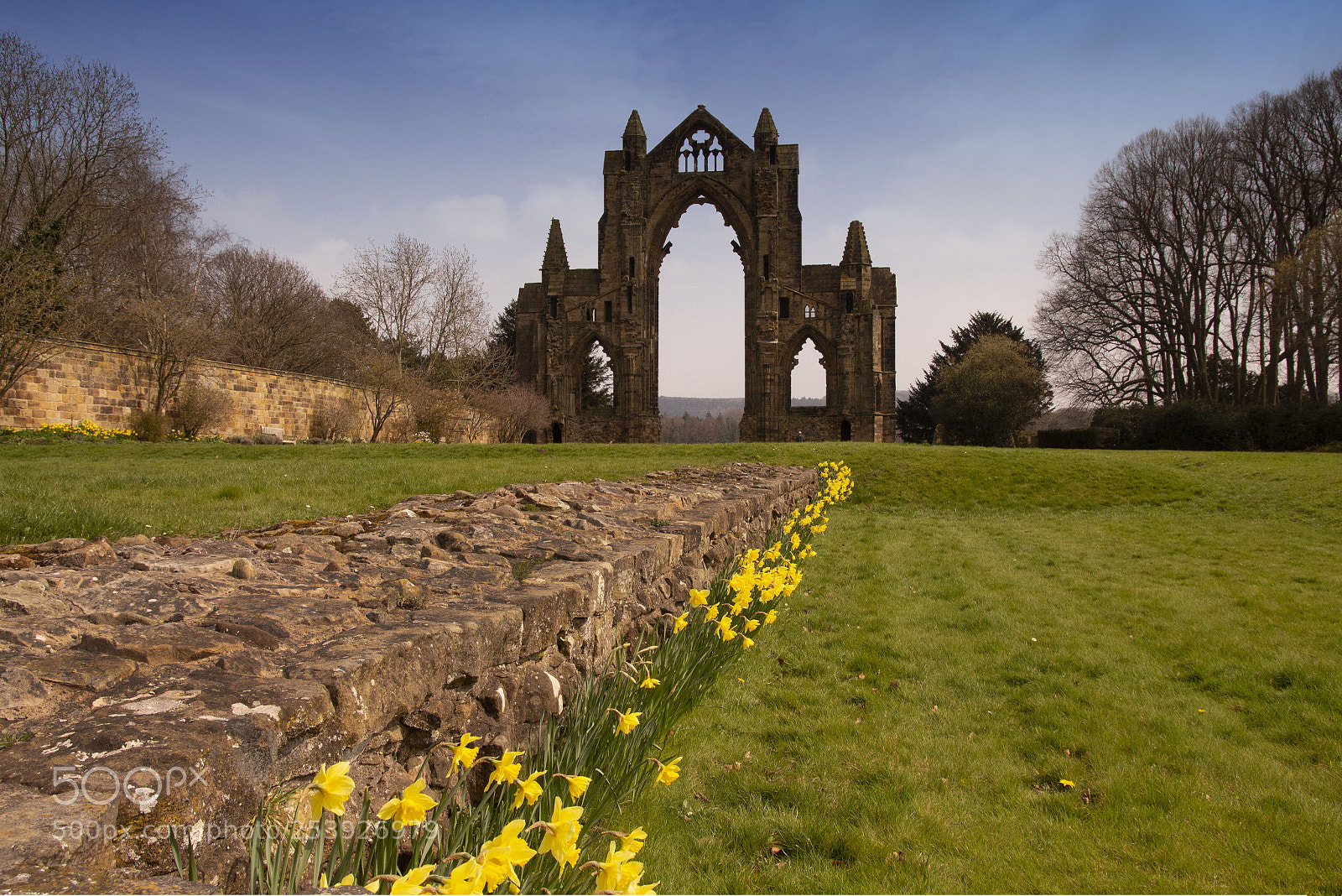 Canon EOS 700D (EOS Rebel T5i / EOS Kiss X7i) sample photo. Guisborough priory photography