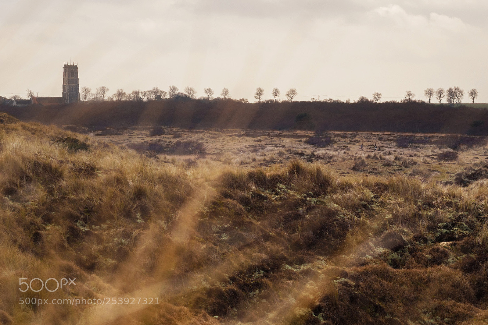 Olympus OM-D E-M10 II sample photo. Behind the dunes at photography