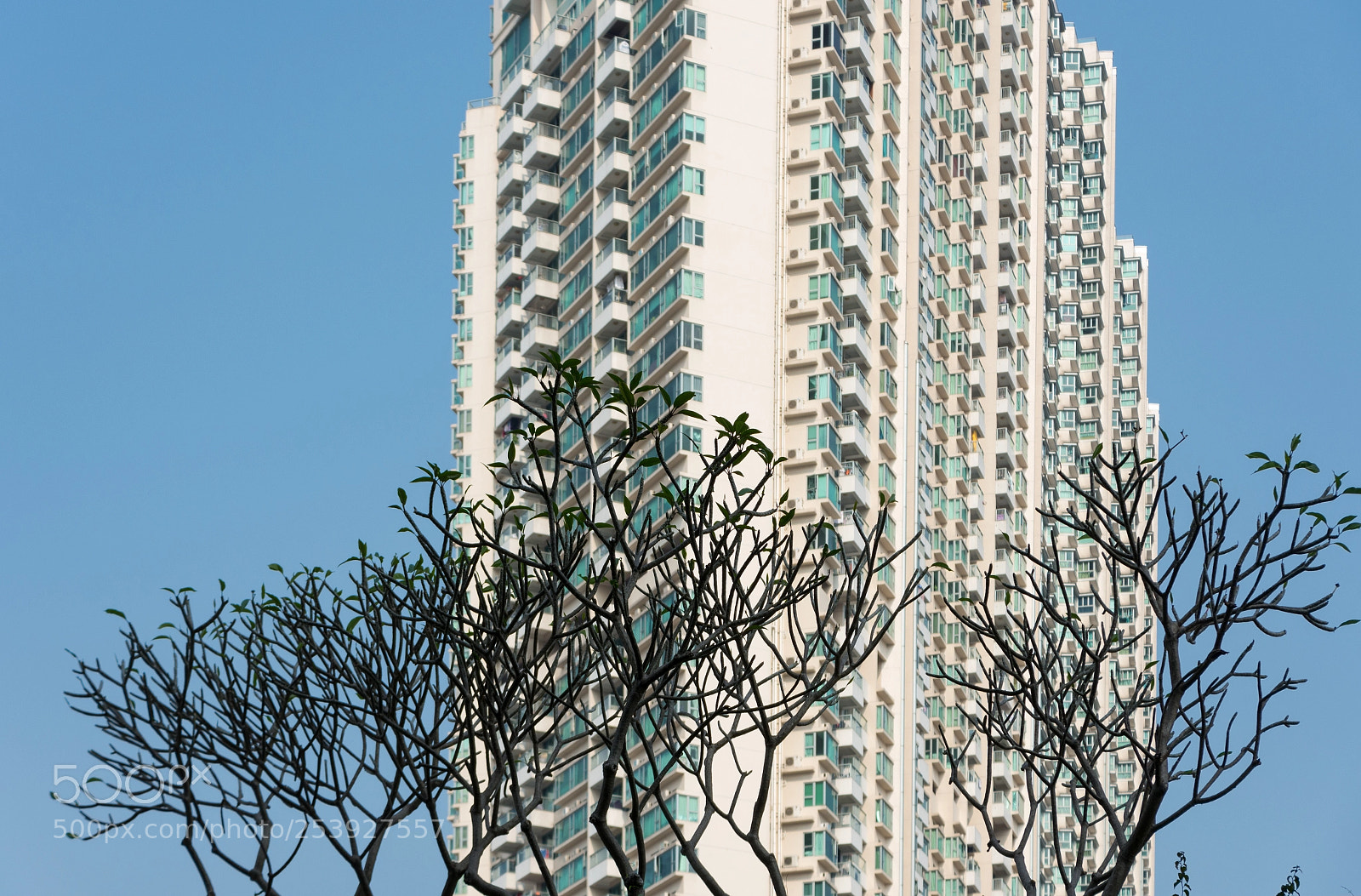 Nikon D7200 sample photo. Tung chung, 東涌, 东涌, lantau island photography