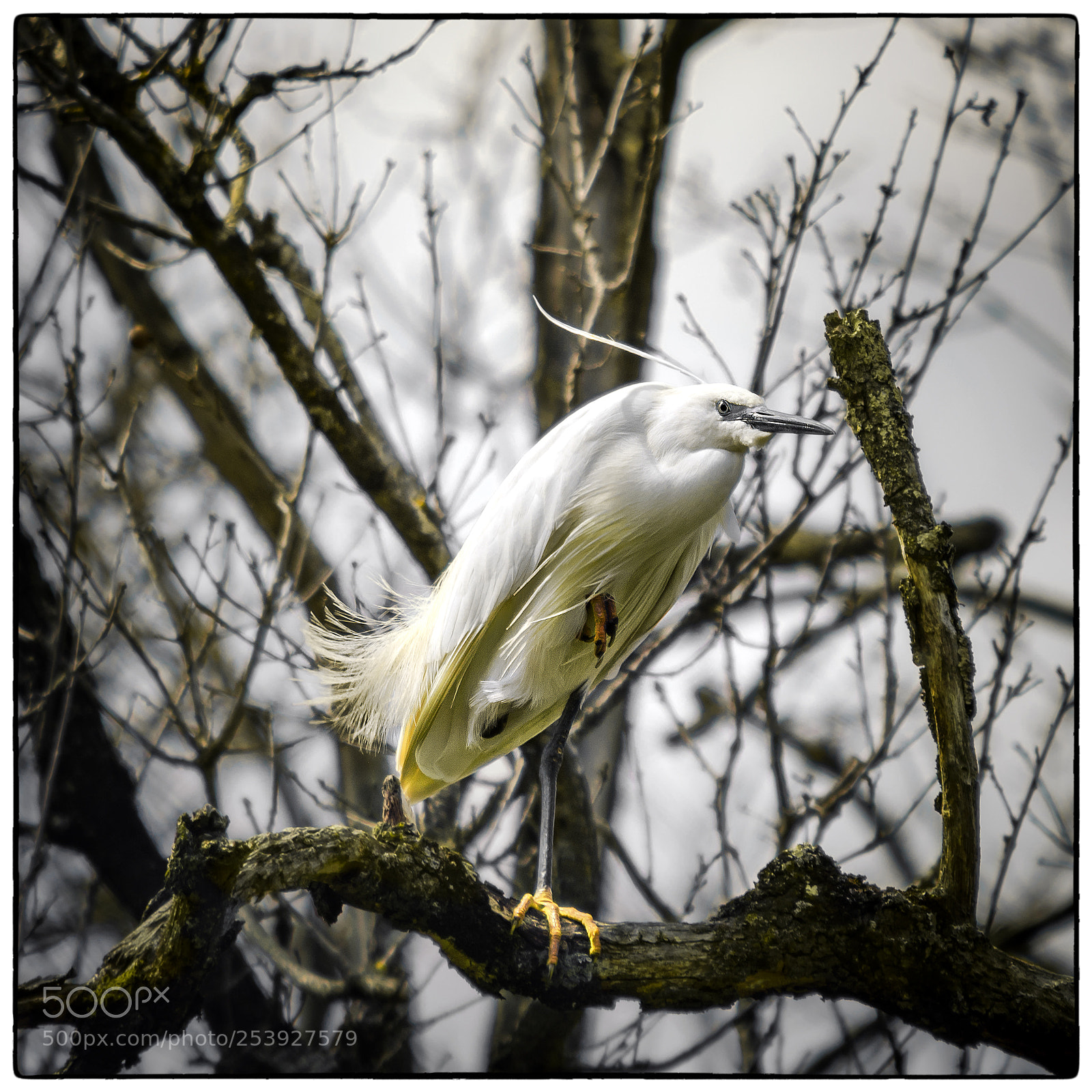 Nikon D7200 sample photo. Into the wind. photography