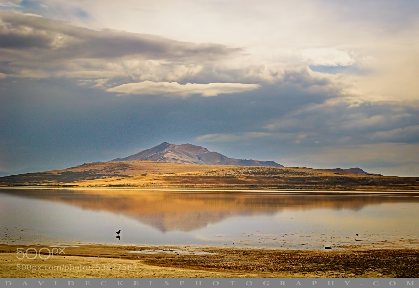 Nikon D5000 sample photo. Antelope island revisited photography