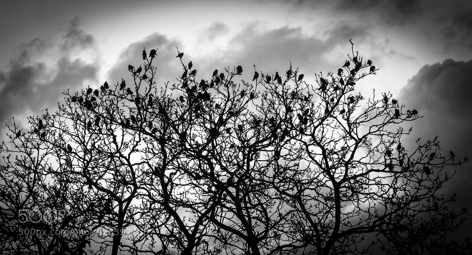 Nikon D5200 sample photo. Dark sunset photography