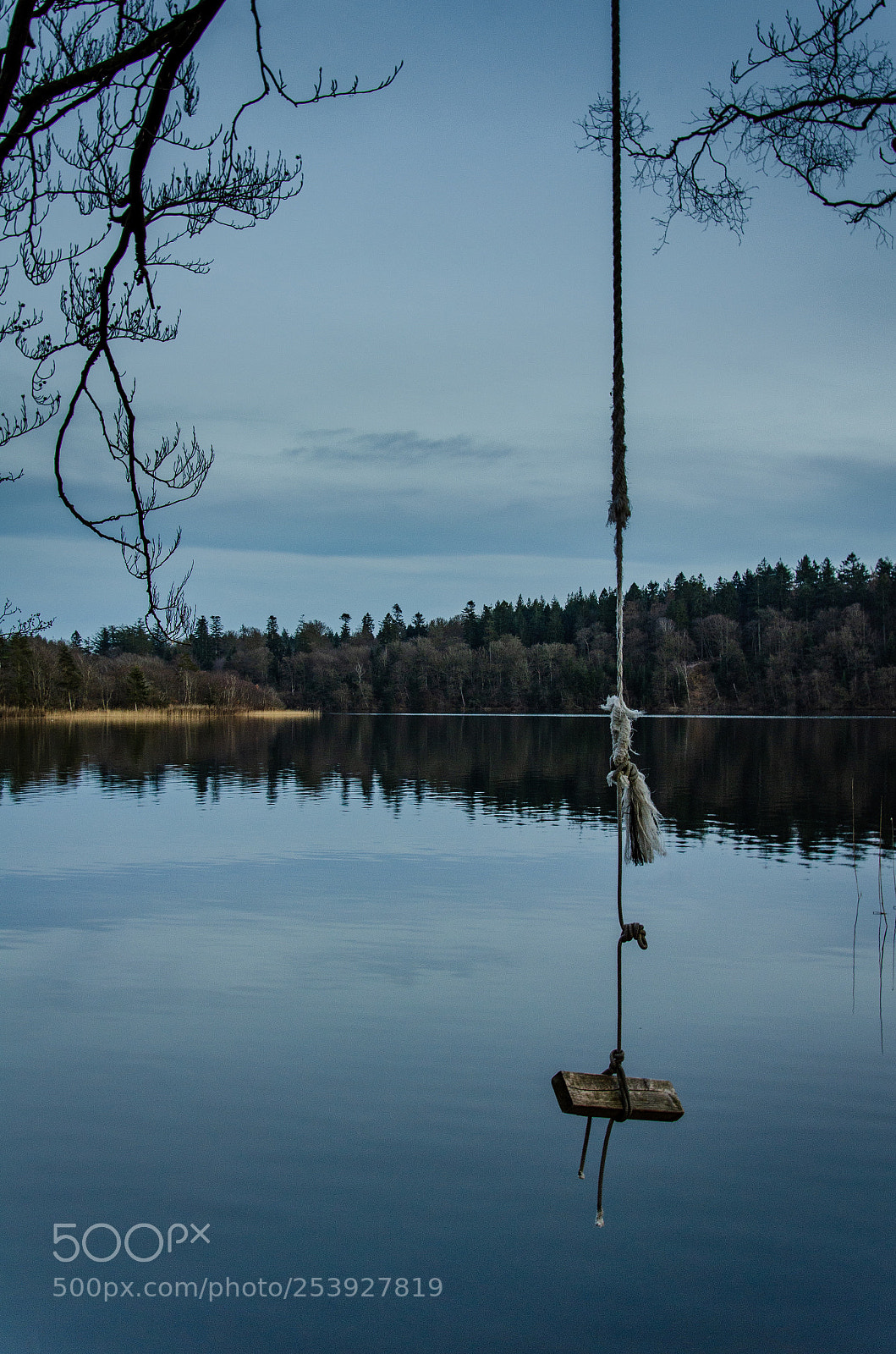 Nikon D5100 sample photo. Untitled photography