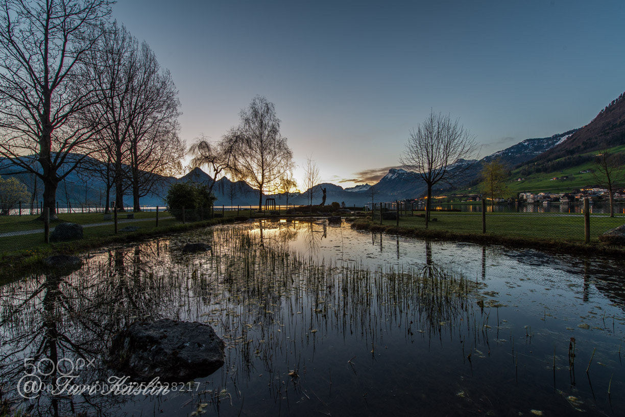 Nikon D800E sample photo. Sunrise on lake lucerne photography