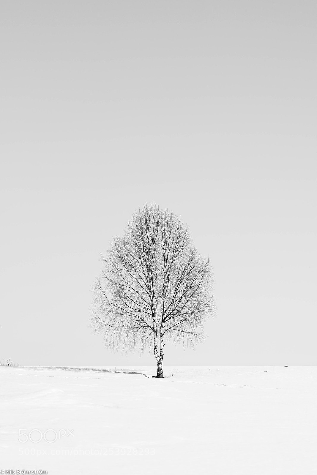 Sony a7 II sample photo. Solitude photography