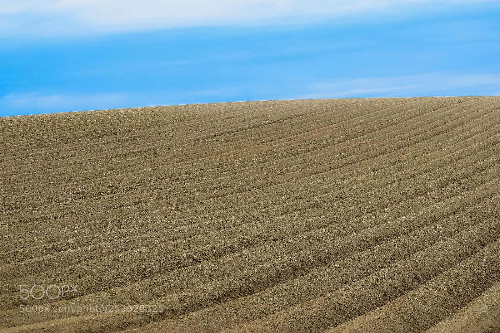 Nikon D3300 sample photo. Field photography
