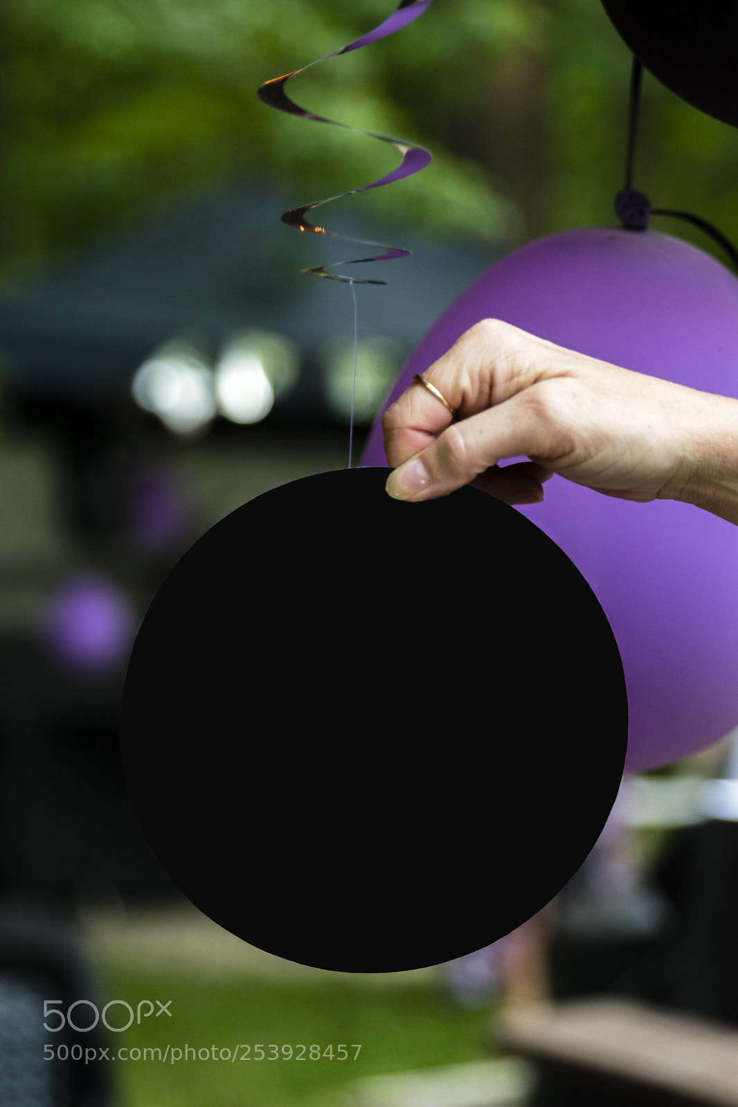 Nikon D3300 sample photo. Hand holding decoration photography