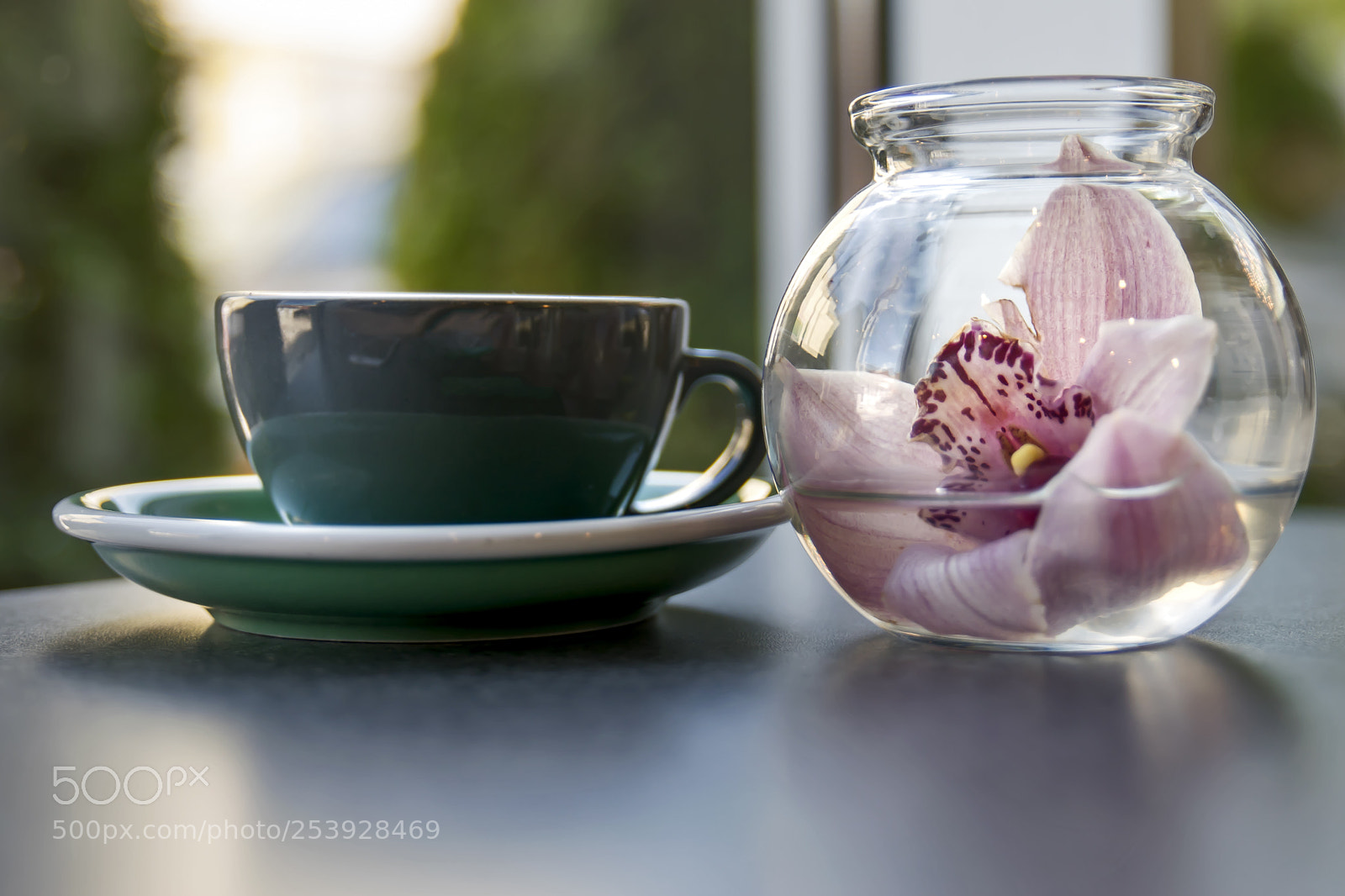 Nikon D3300 sample photo. Latte with flower photography