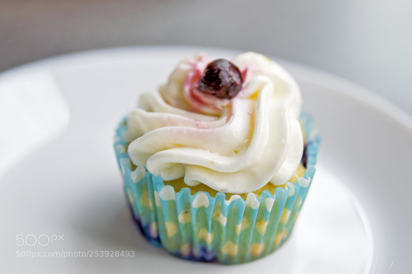 Nikon D3300 sample photo. Lemon blueberry cupcake photography