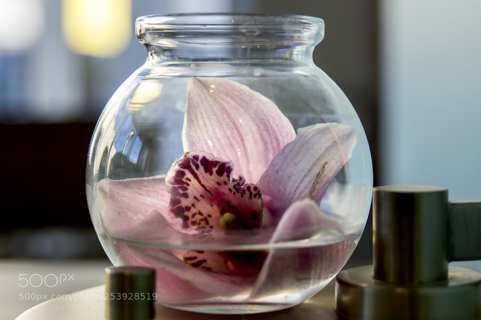 Nikon D3300 sample photo. Flower decor in glass photography