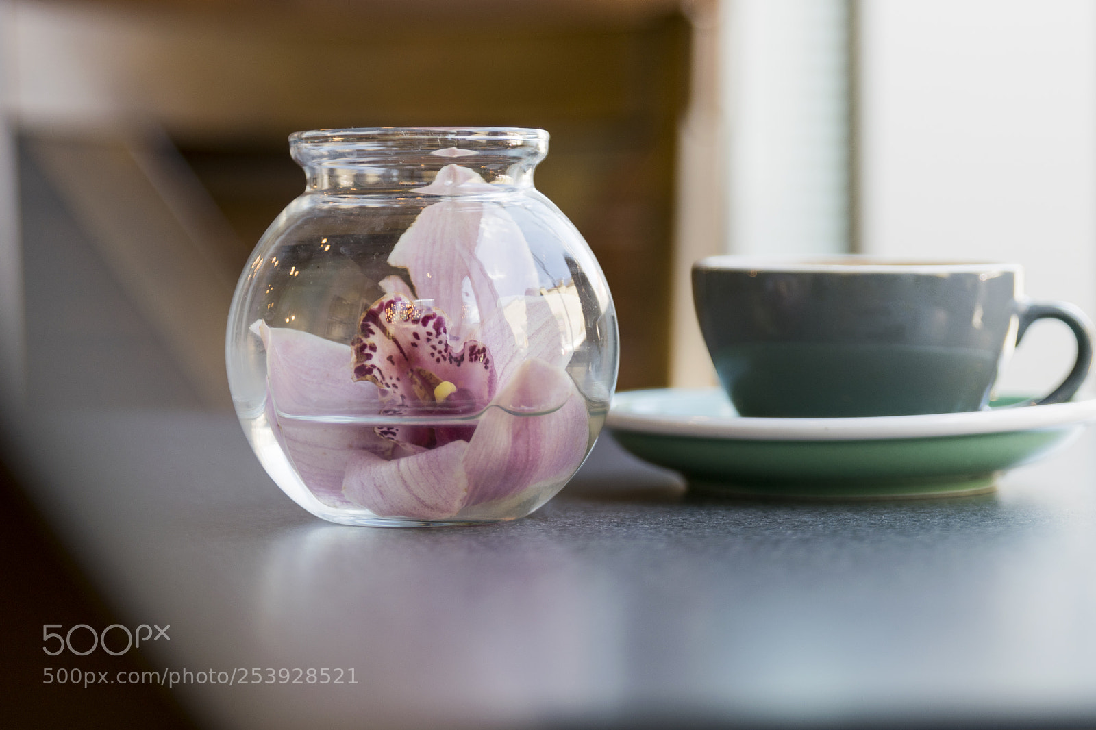 Nikon D3300 sample photo. Pink flower decor & latte photography
