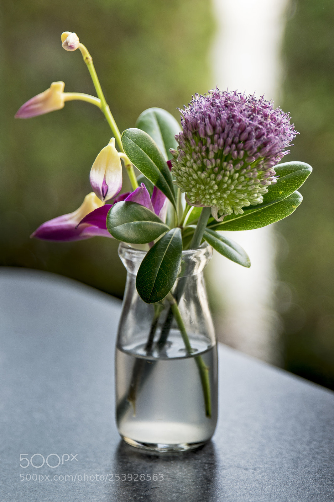 Nikon D3300 sample photo. Violet flower decor in photography
