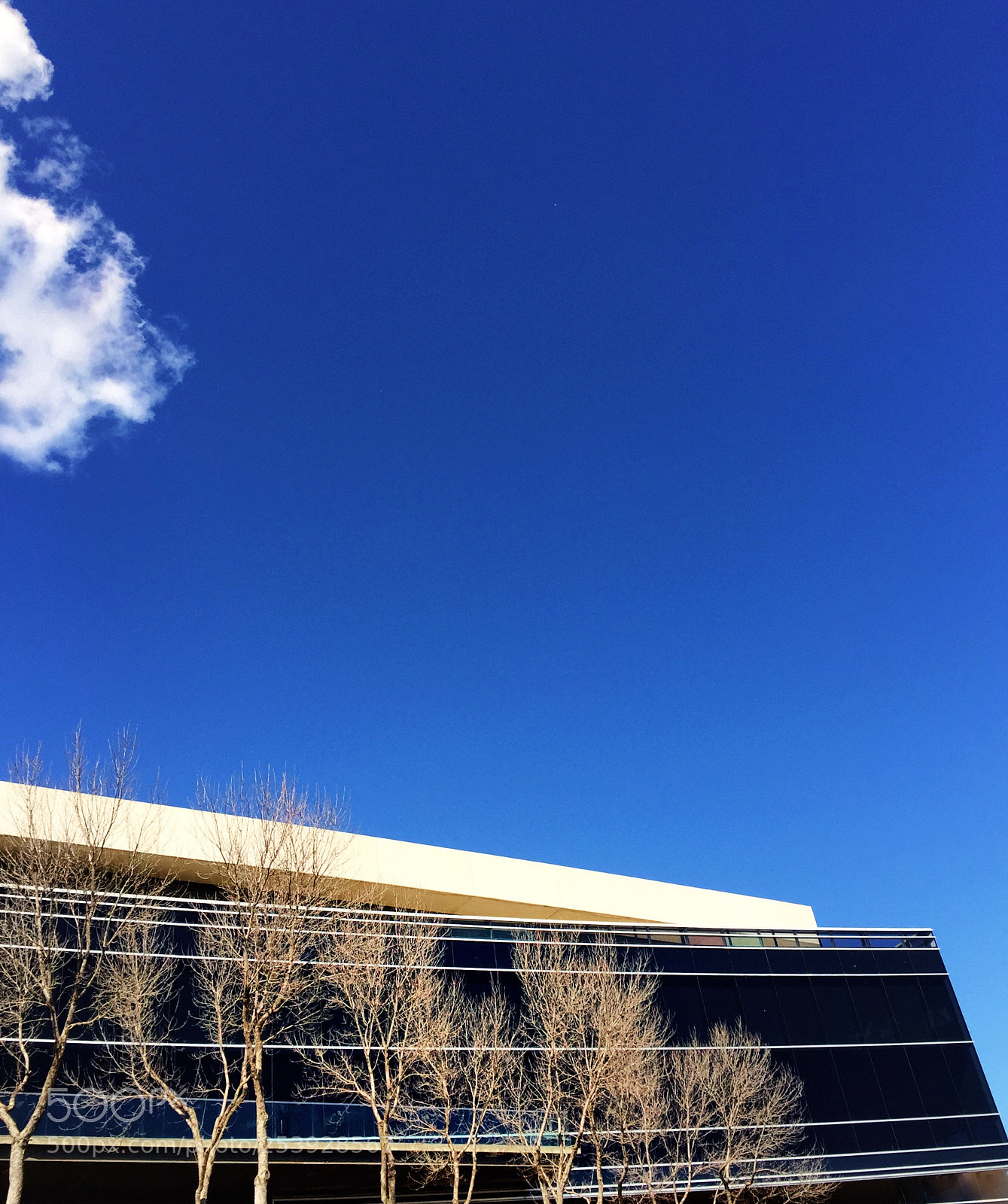 Apple iPhone 6 Plus sample photo. The bluest sky. photography