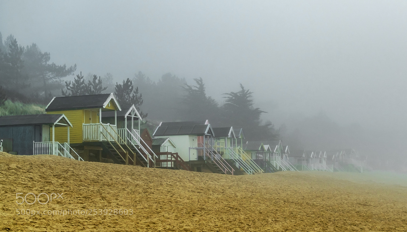 Olympus OM-D E-M5 II sample photo. Fog on the beach photography