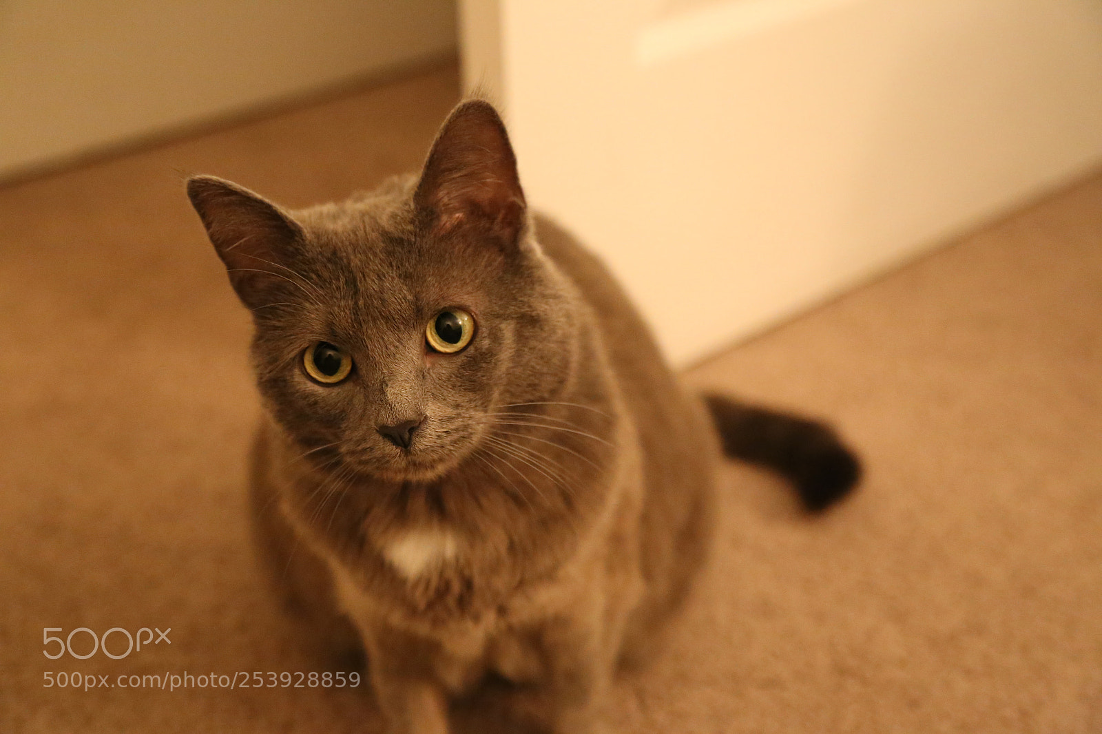 Canon EOS 6D + Canon EF 24-105mm F4L IS USM sample photo. My dearest photography