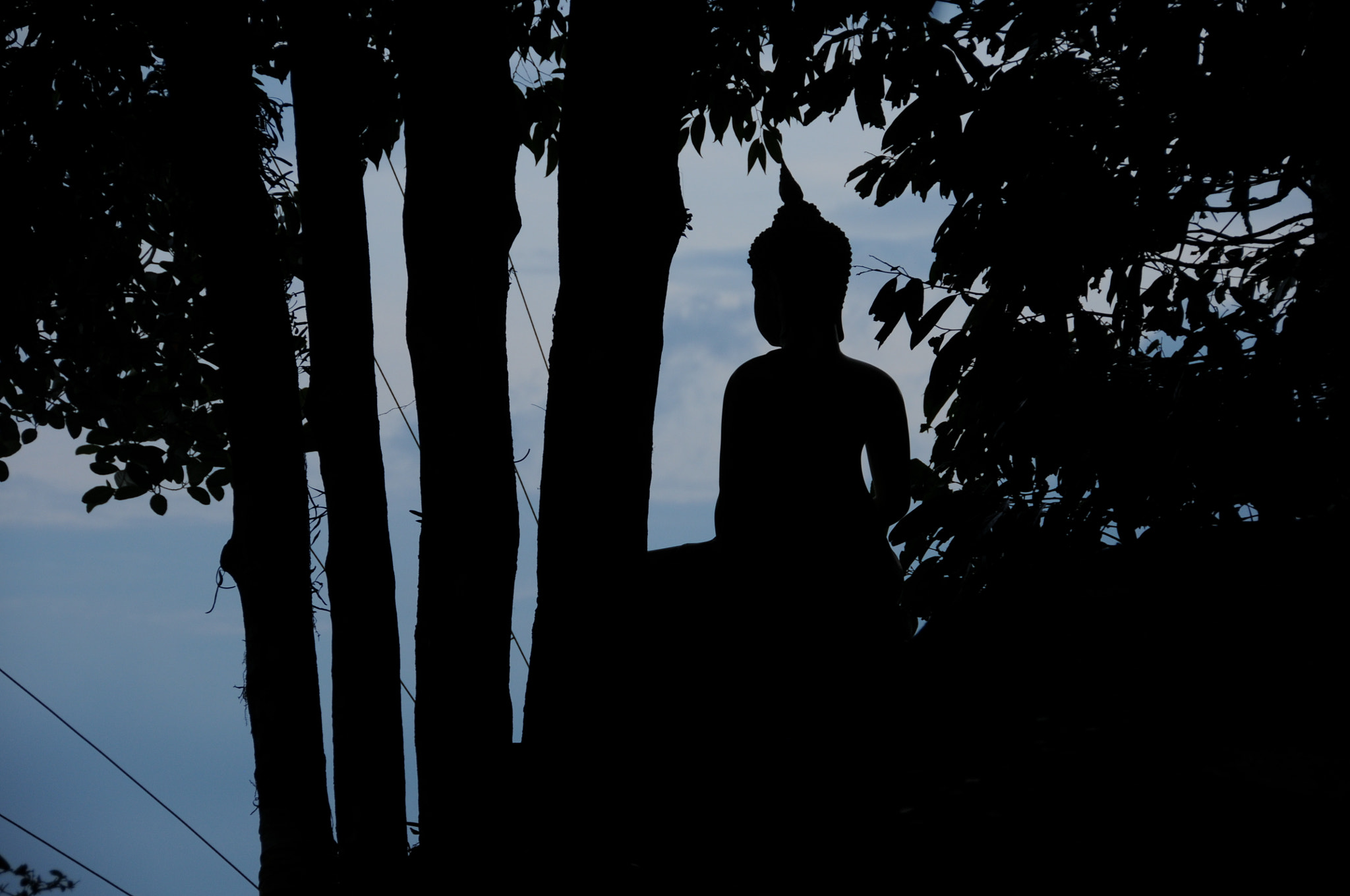 Nikon D300S sample photo. The silence of prayer photography