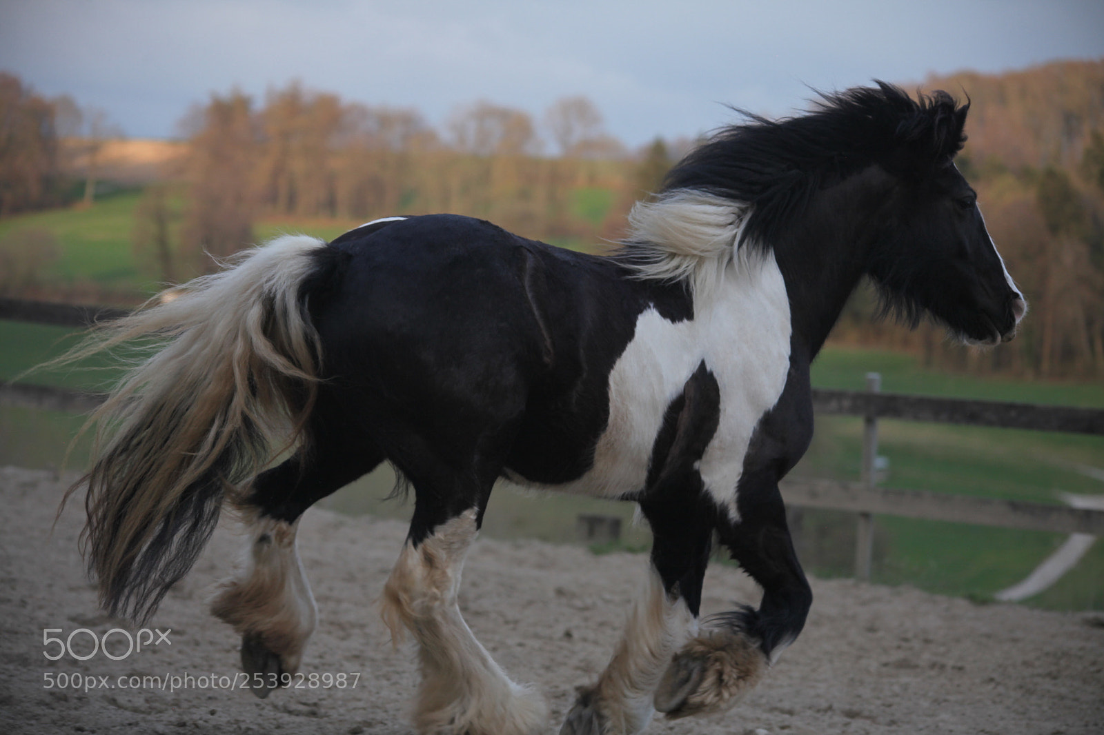 Canon EOS 5D Mark II sample photo. Untitled photography