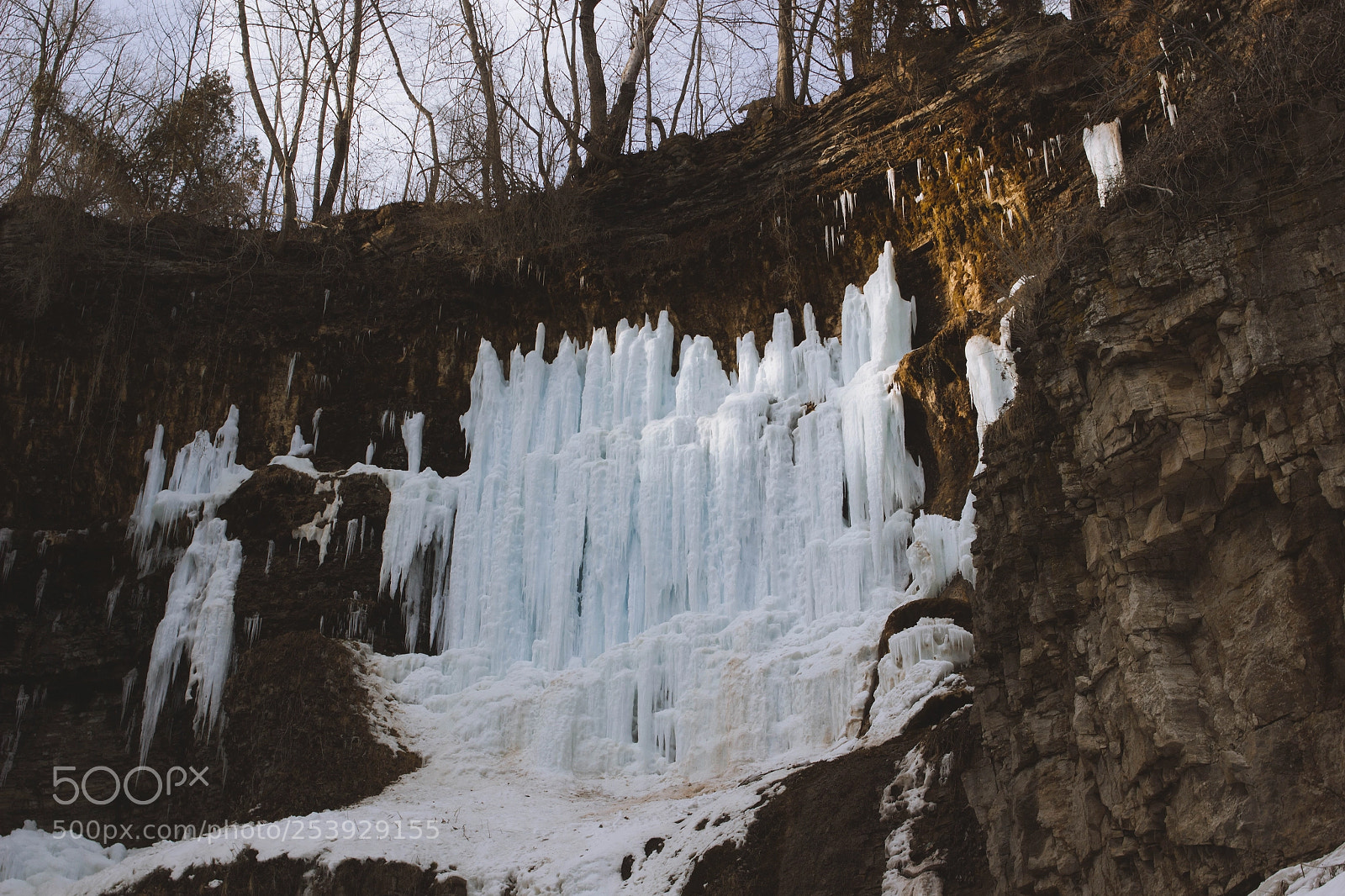 Canon EOS 550D (EOS Rebel T2i / EOS Kiss X4) sample photo. Ice ice bb photography