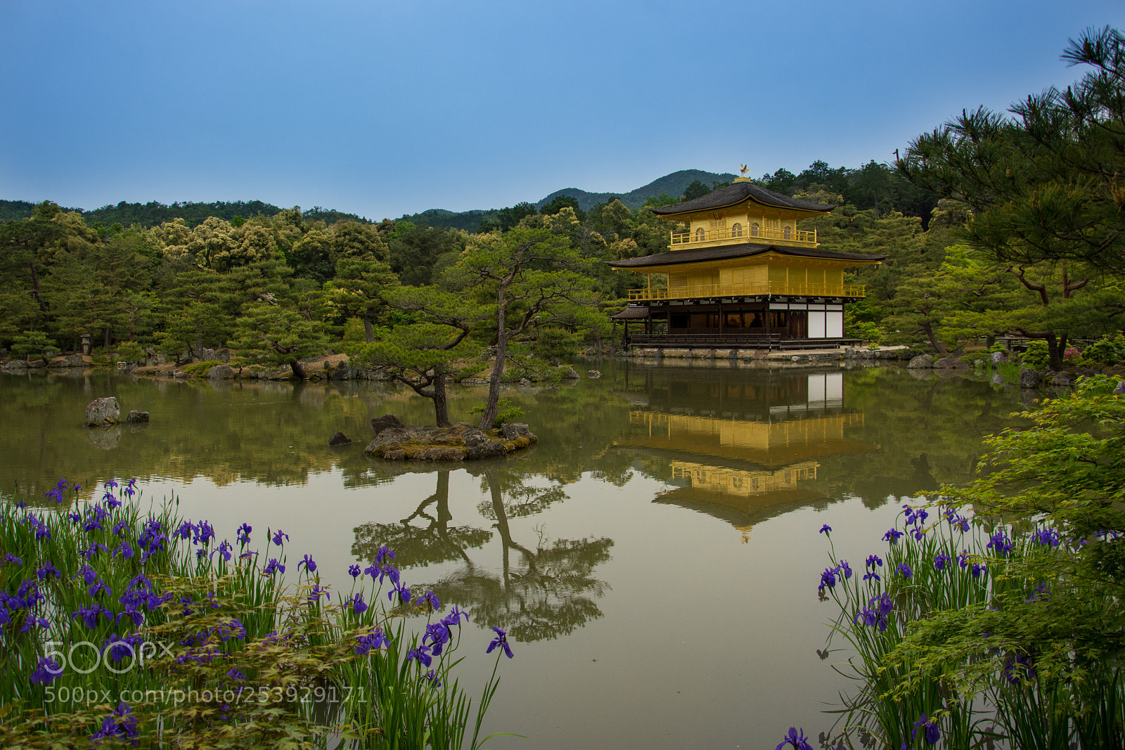 Nikon D7100 sample photo. Kinkaku-ji temple photography