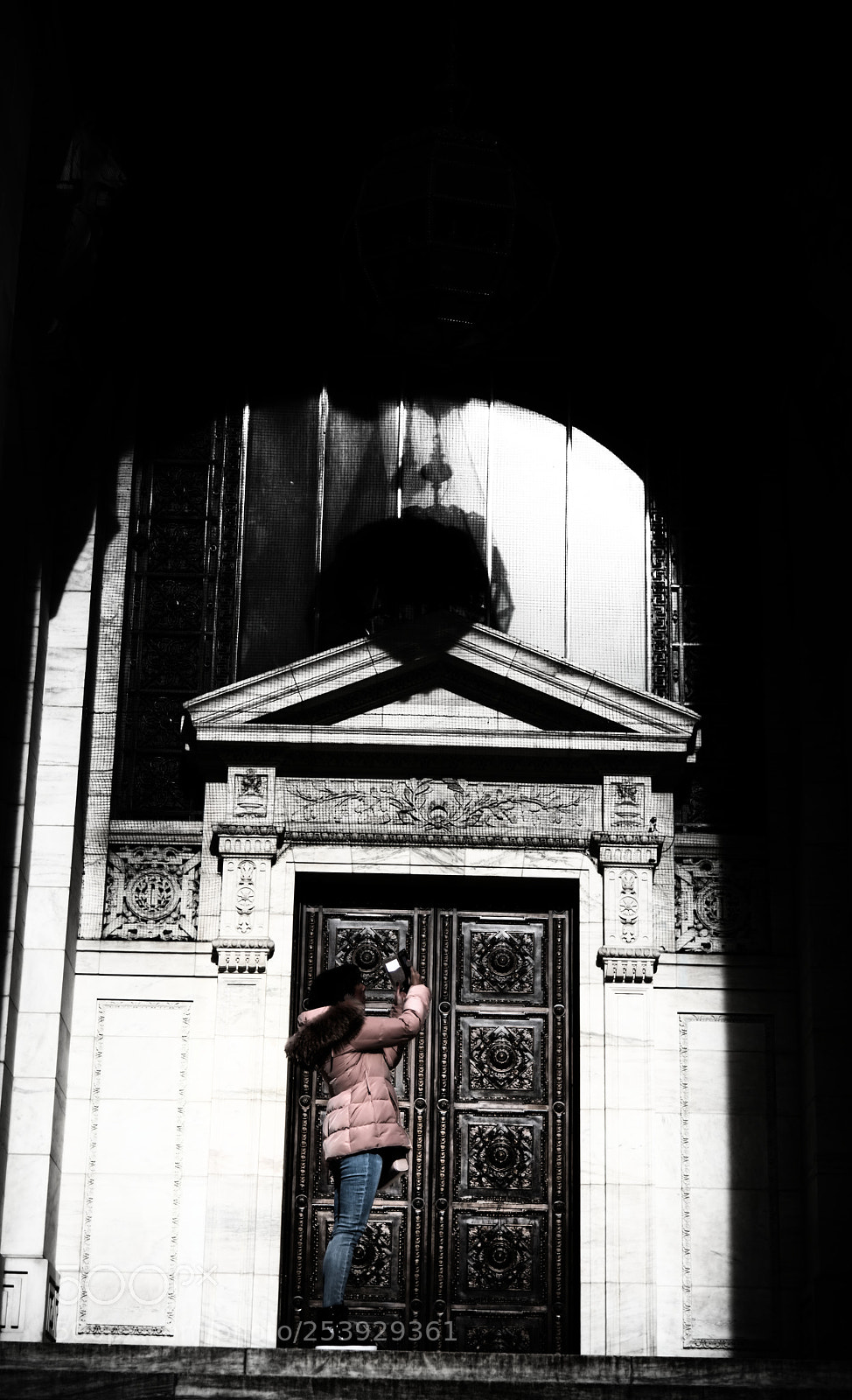 Nikon D810 sample photo. New york public library photography
