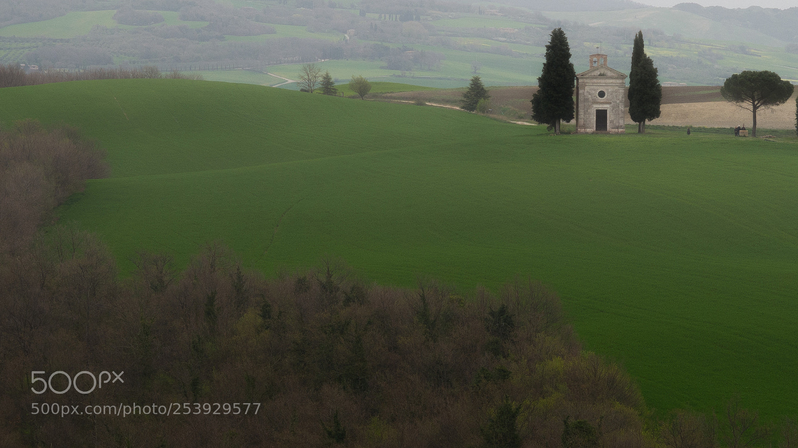 Nikon D800 sample photo. Tuscany photography