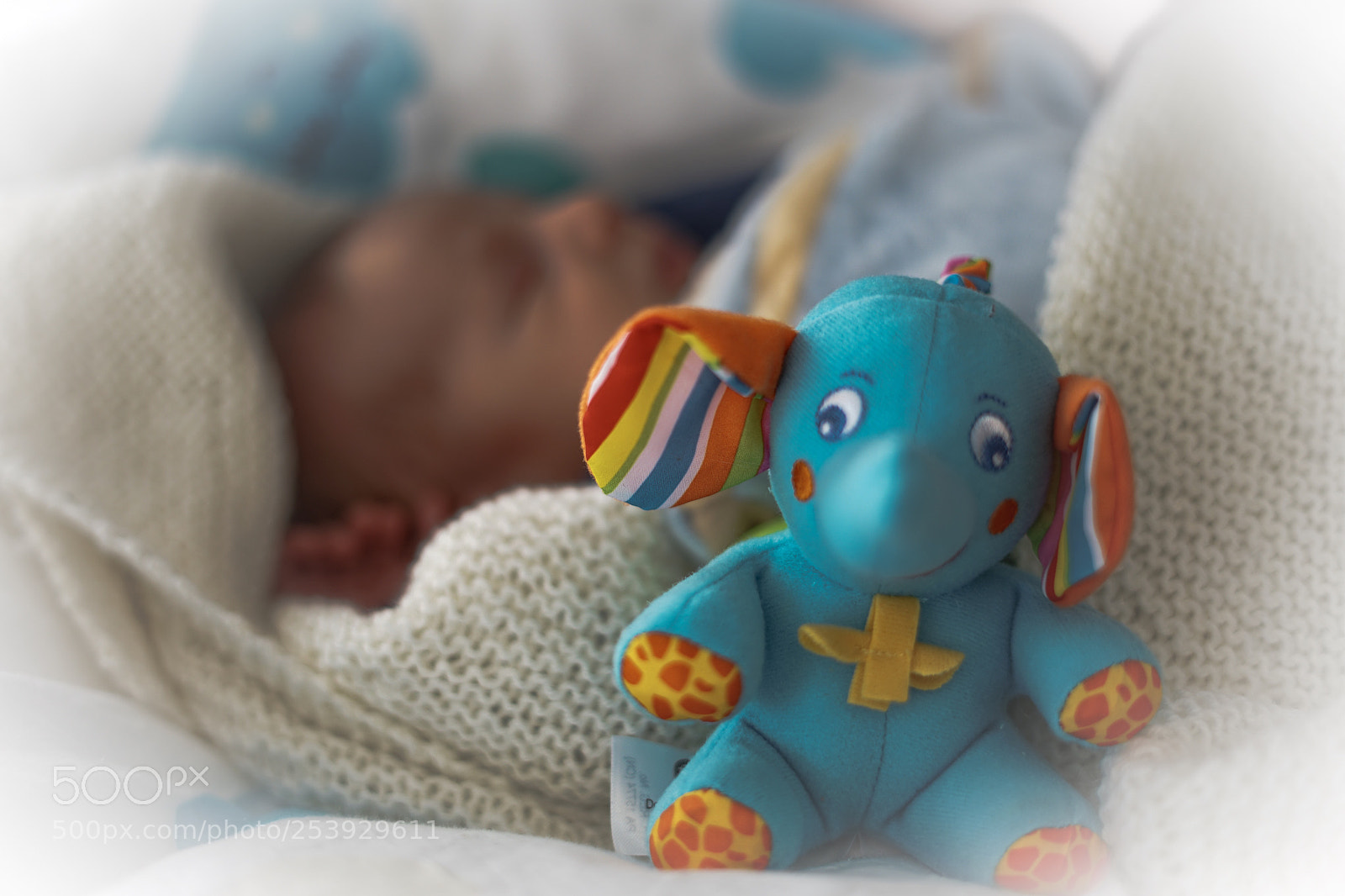 Sony a7 II sample photo. "mascot" photography