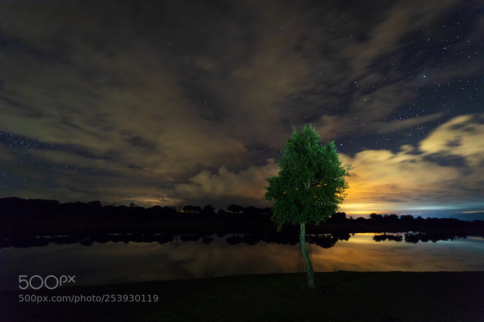 Canon EOS 6D Mark II sample photo. Santiba ez el bajo photography