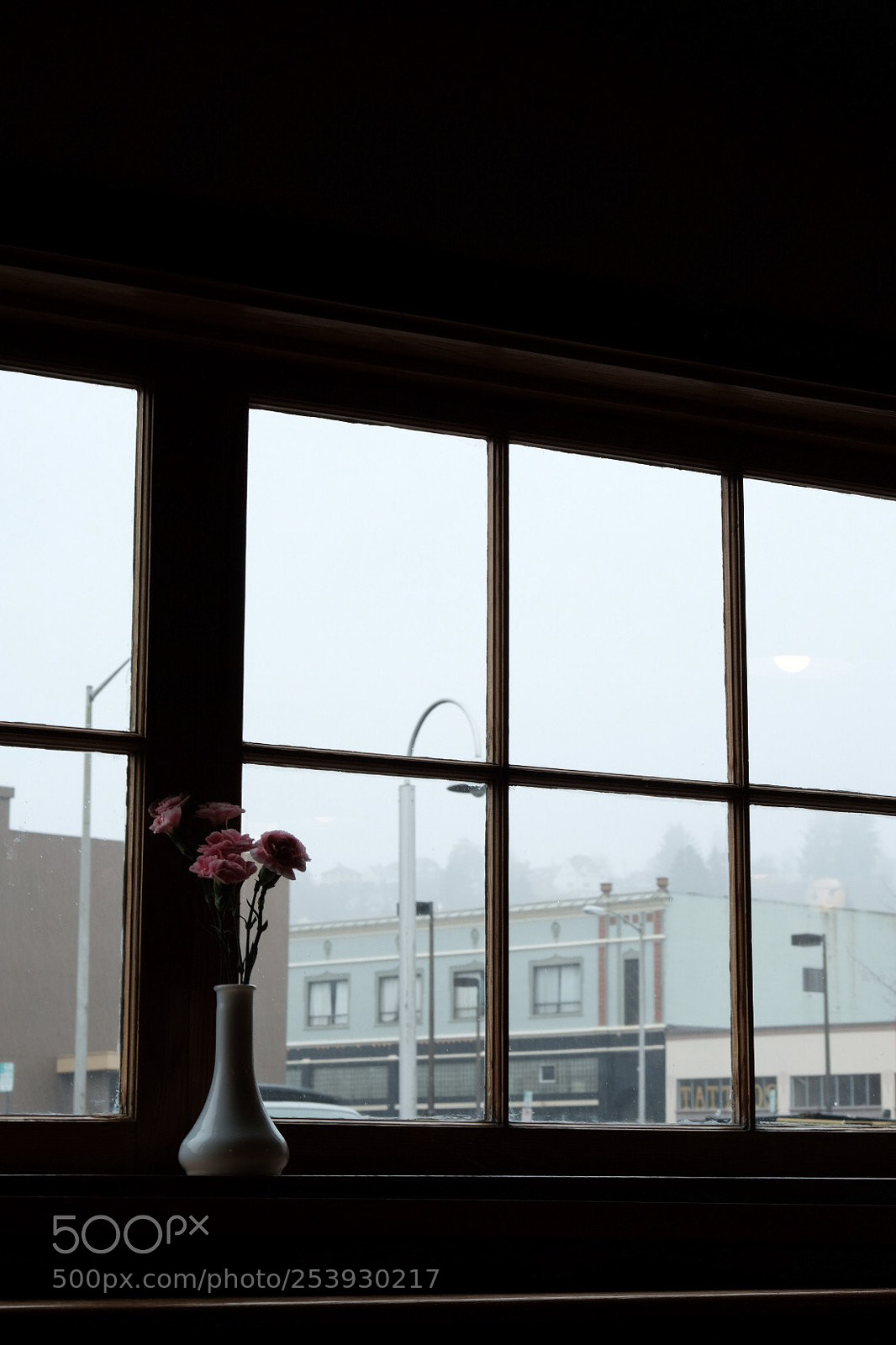 Fujifilm X-Pro2 sample photo. Untitled photography