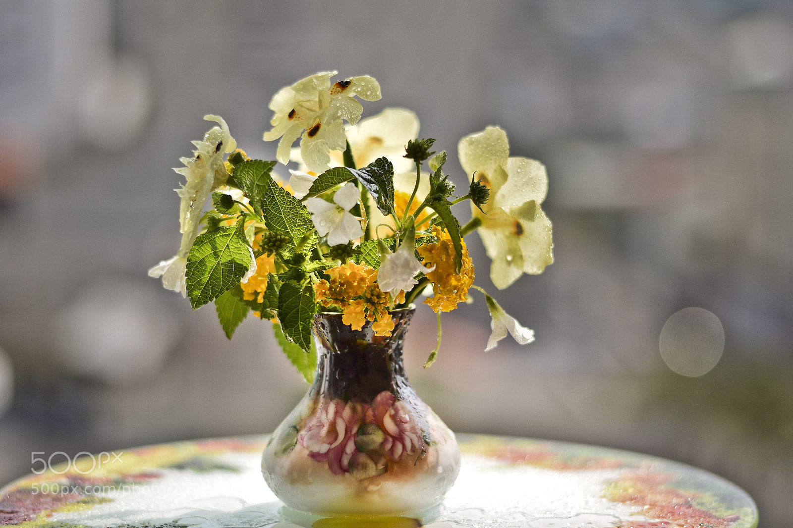 Nikon D5300 sample photo. Untitled photography
