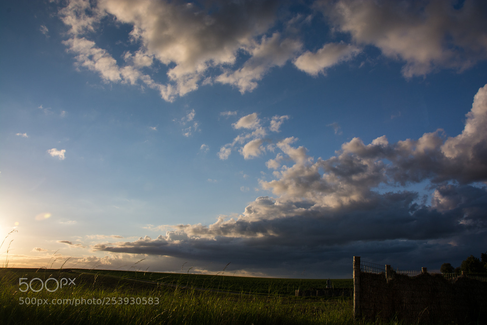 Nikon D7100 sample photo. Golden light photography