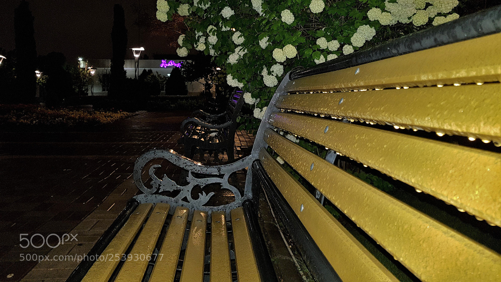 Samsung Galaxy S8+ sample photo. Untitled photography