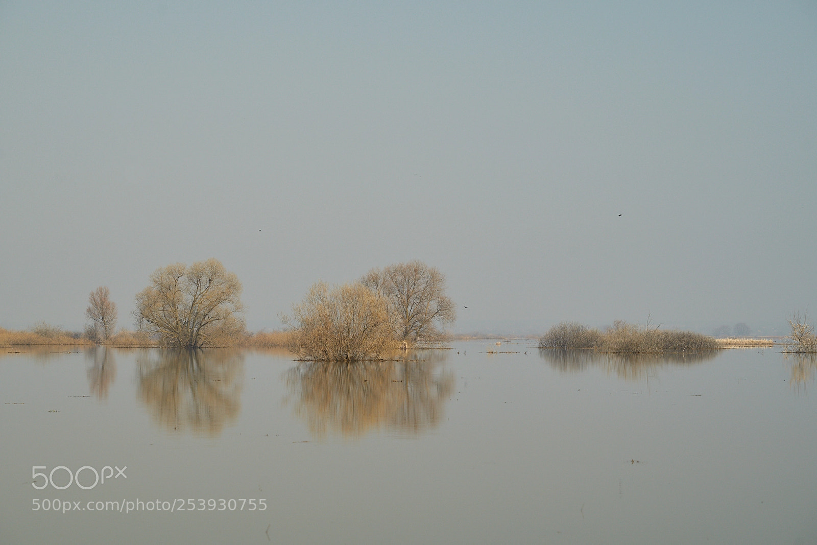 Sony a99 II sample photo. отражение photography