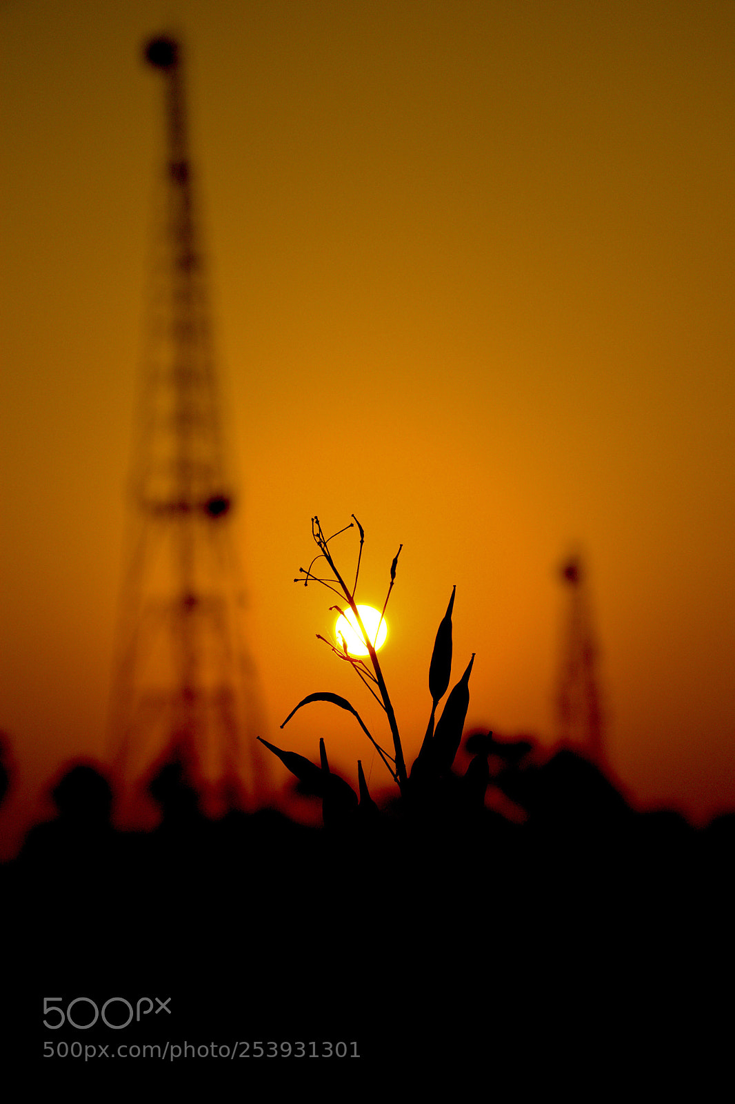 Nikon D3400 sample photo. Early morning photography