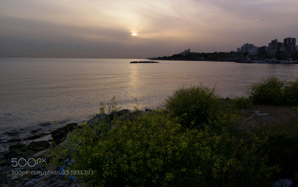 Samsung NX1 sample photo. ... photography