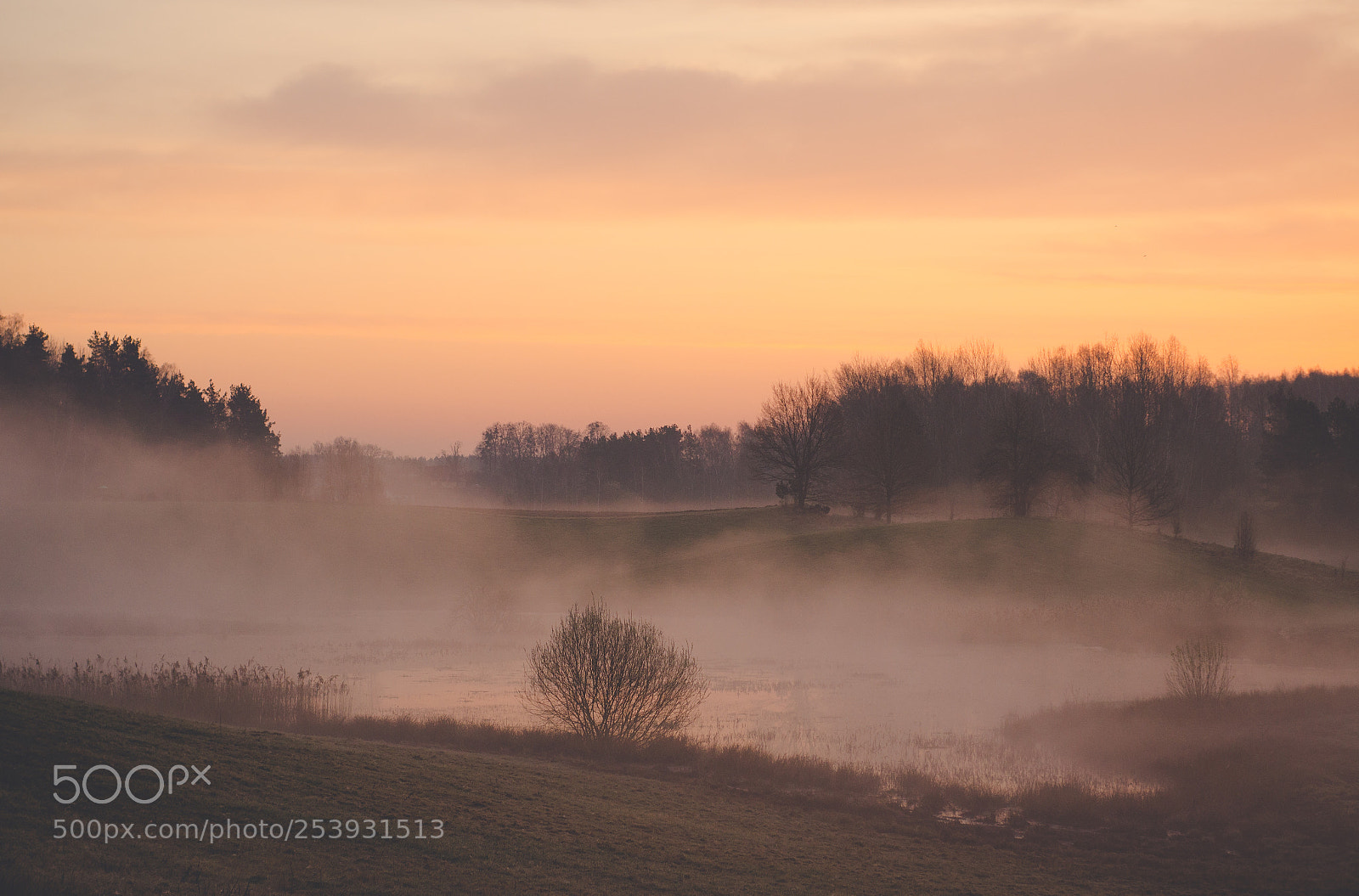 Nikon D7000 sample photo. Foggy morning photography
