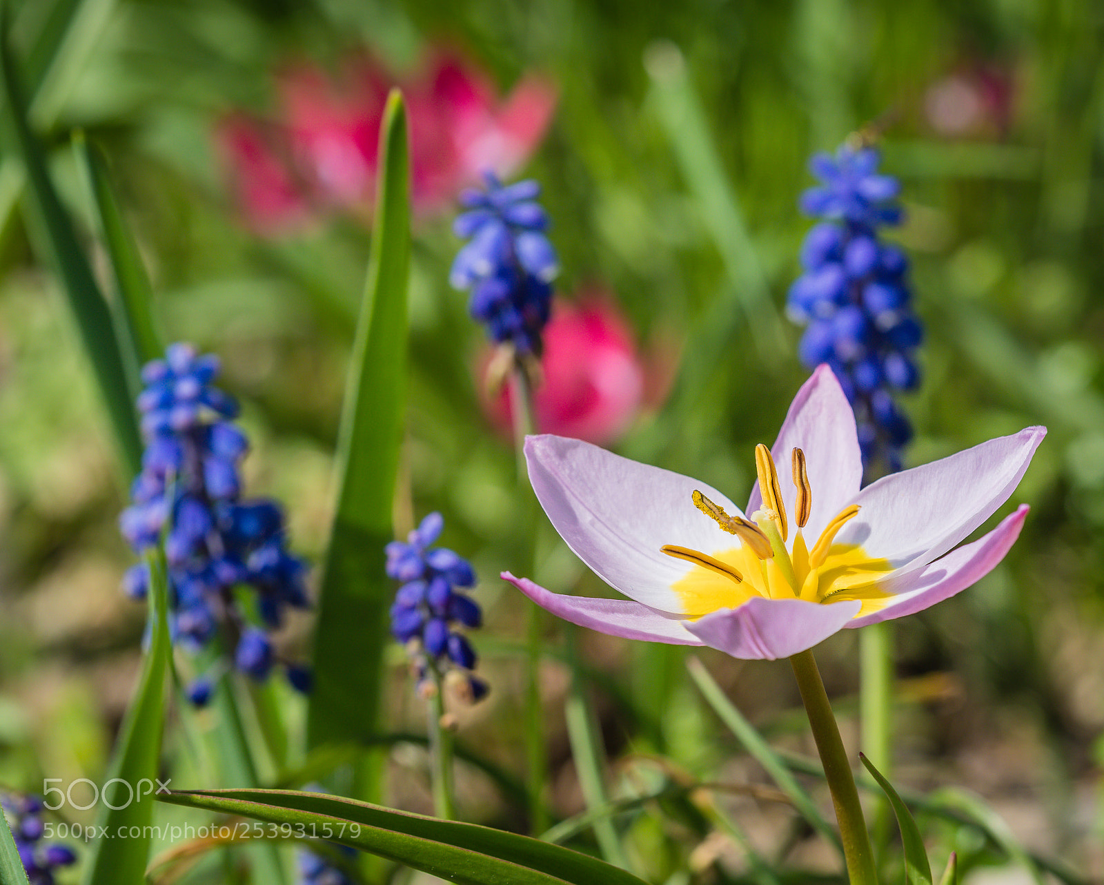 Olympus OM-D E-M1 Mark II sample photo. Hermannshof photography