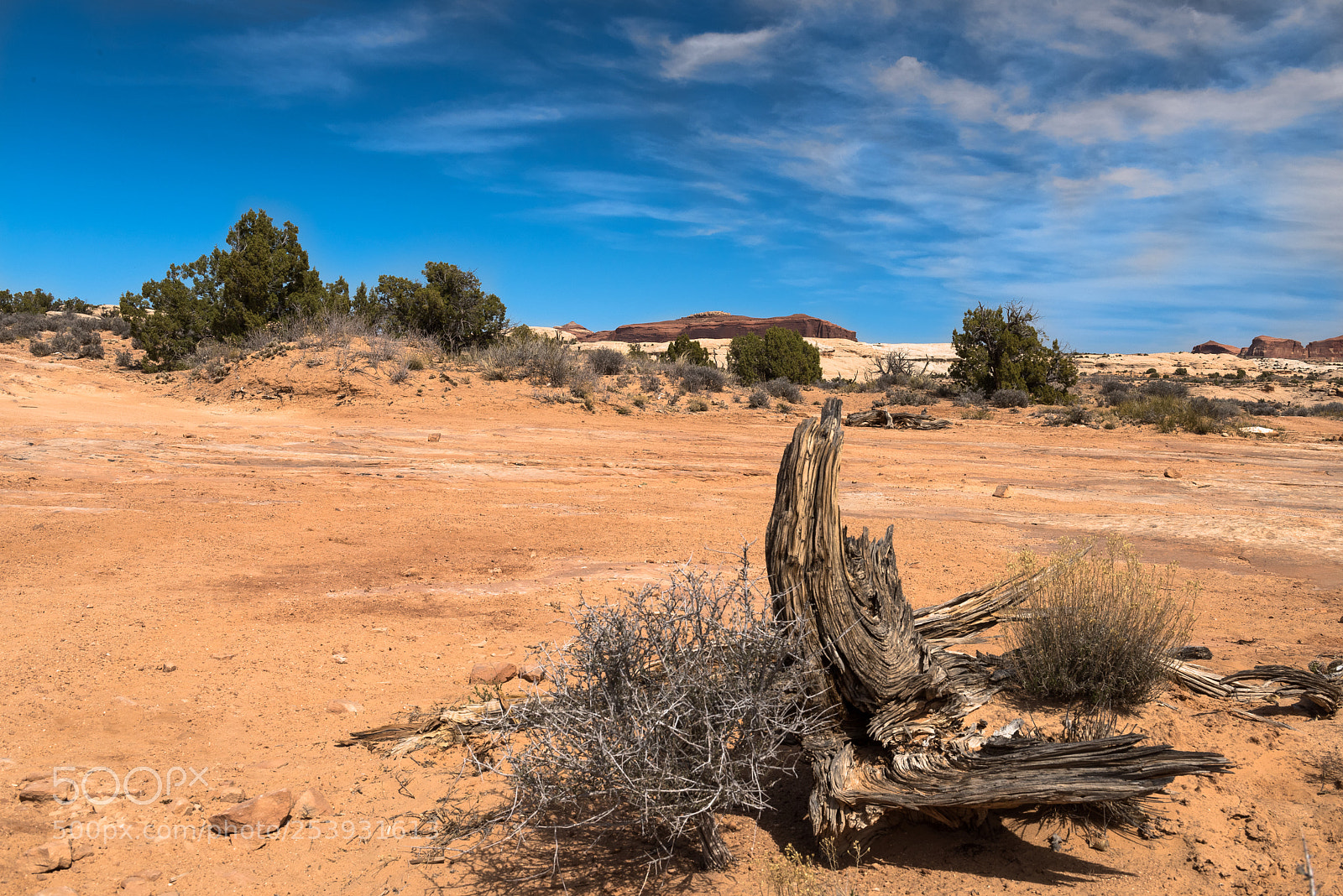 Nikon D810 sample photo. Desert scene photography
