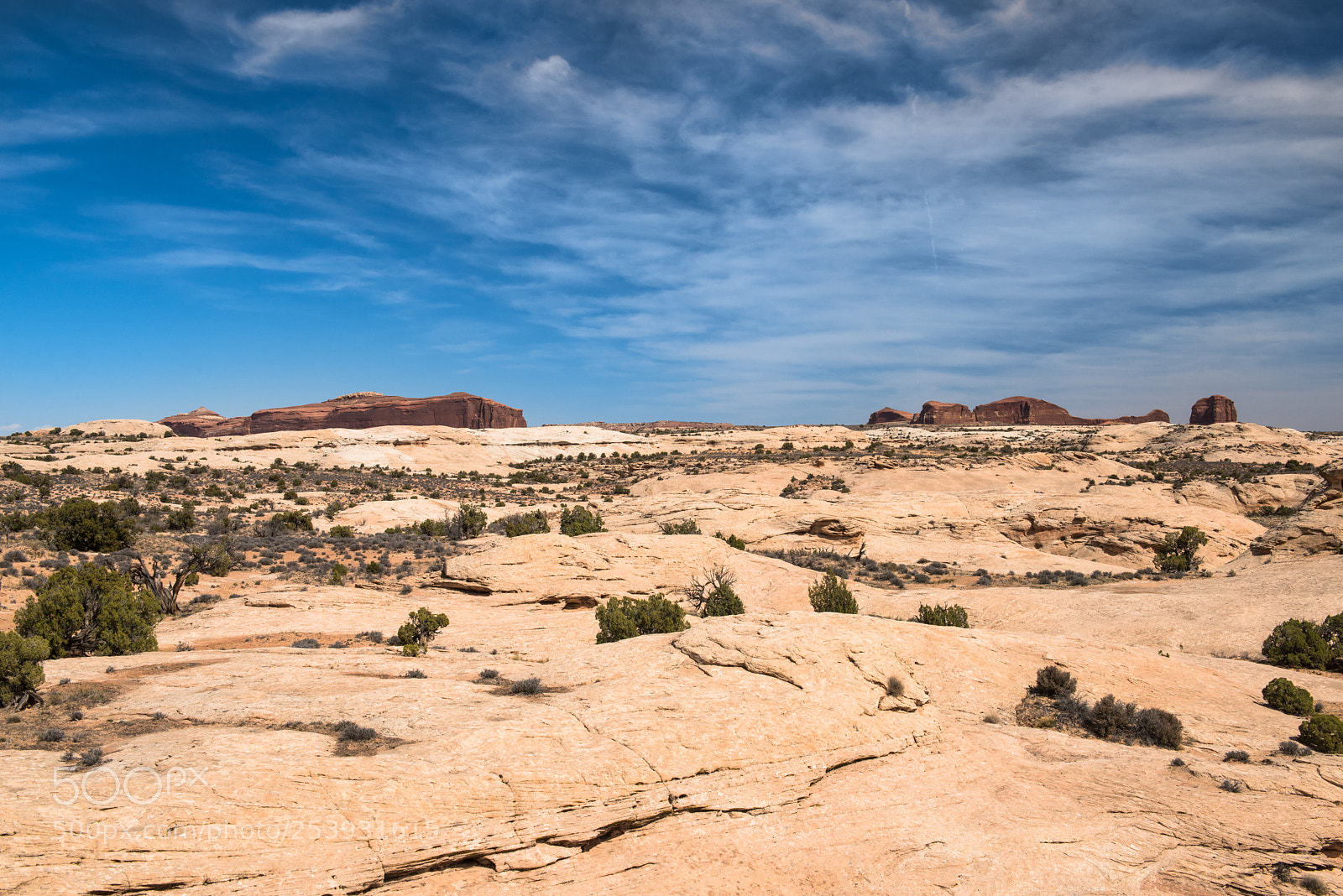 Nikon D810 sample photo. Desert scene ii photography