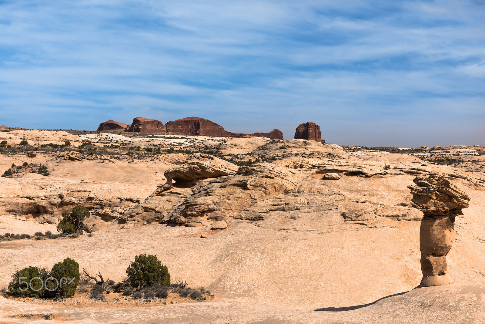Nikon D810 sample photo. Desert scene iii photography