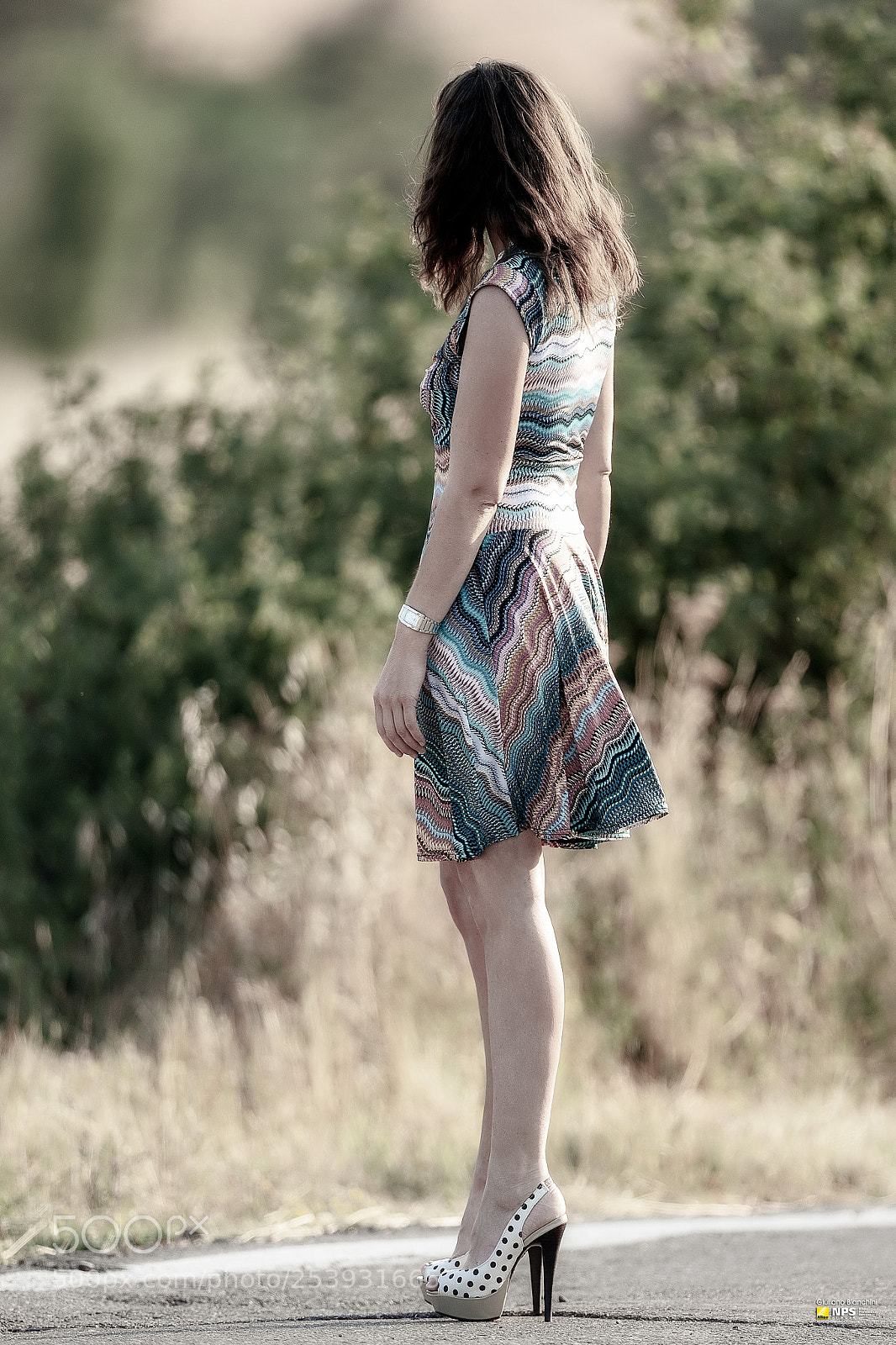 Nikon D4 sample photo. Canossa | d4 photography