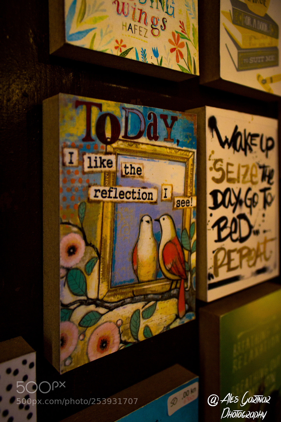 Canon EOS 600D (Rebel EOS T3i / EOS Kiss X5) sample photo. Pigeon photography