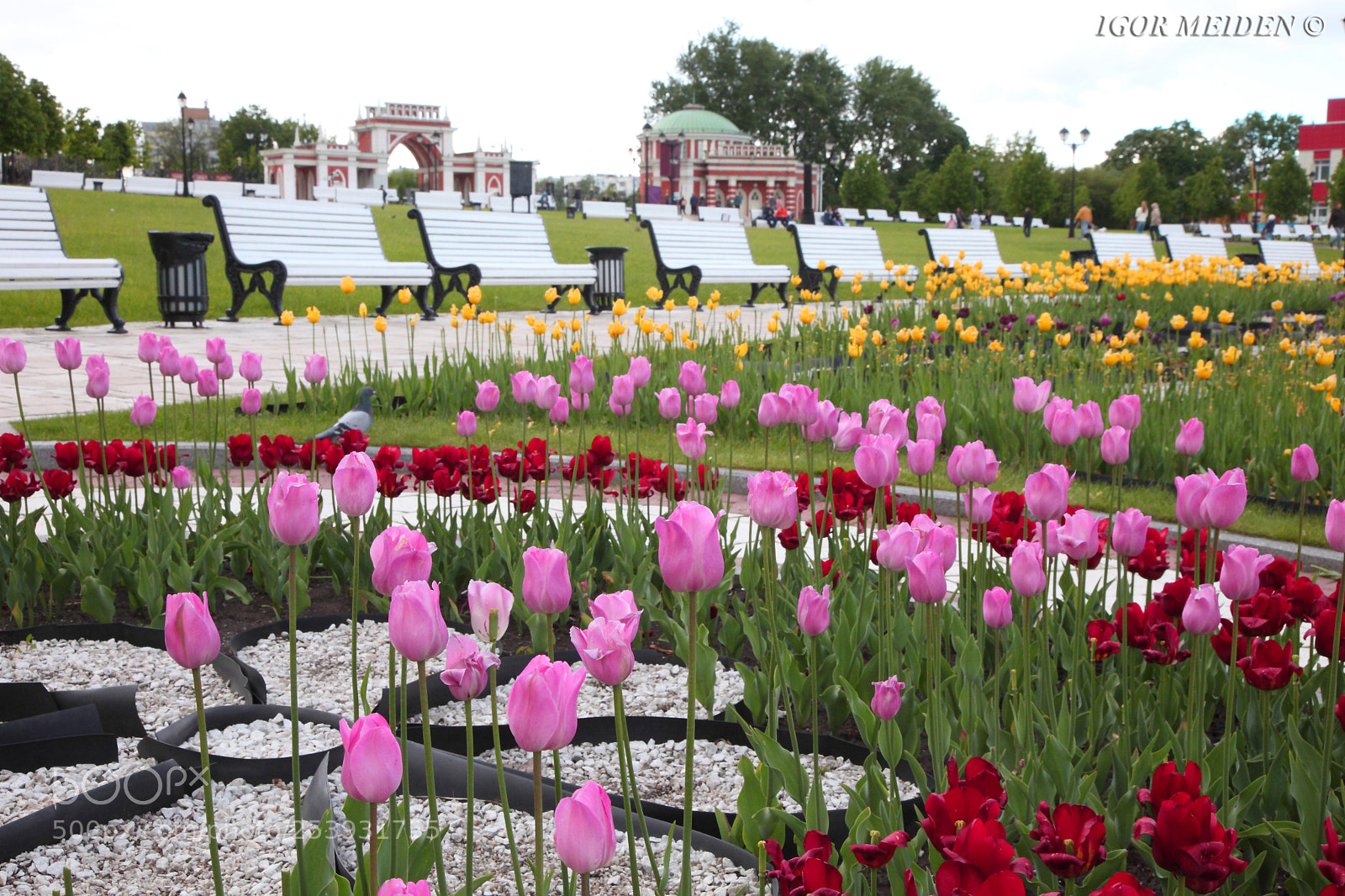 Canon EOS 5D Mark II sample photo. Moscow. park tsaritsyno photography
