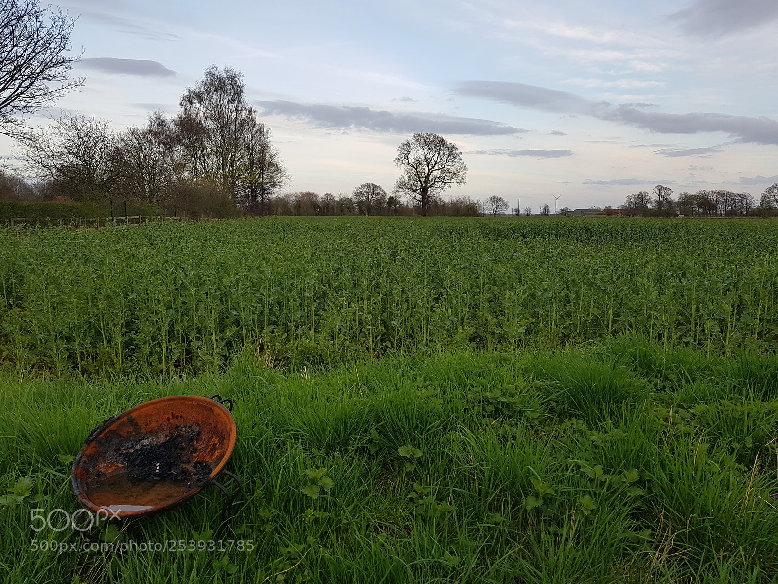 Samsung Galaxy S8 sample photo. Countrylife photography