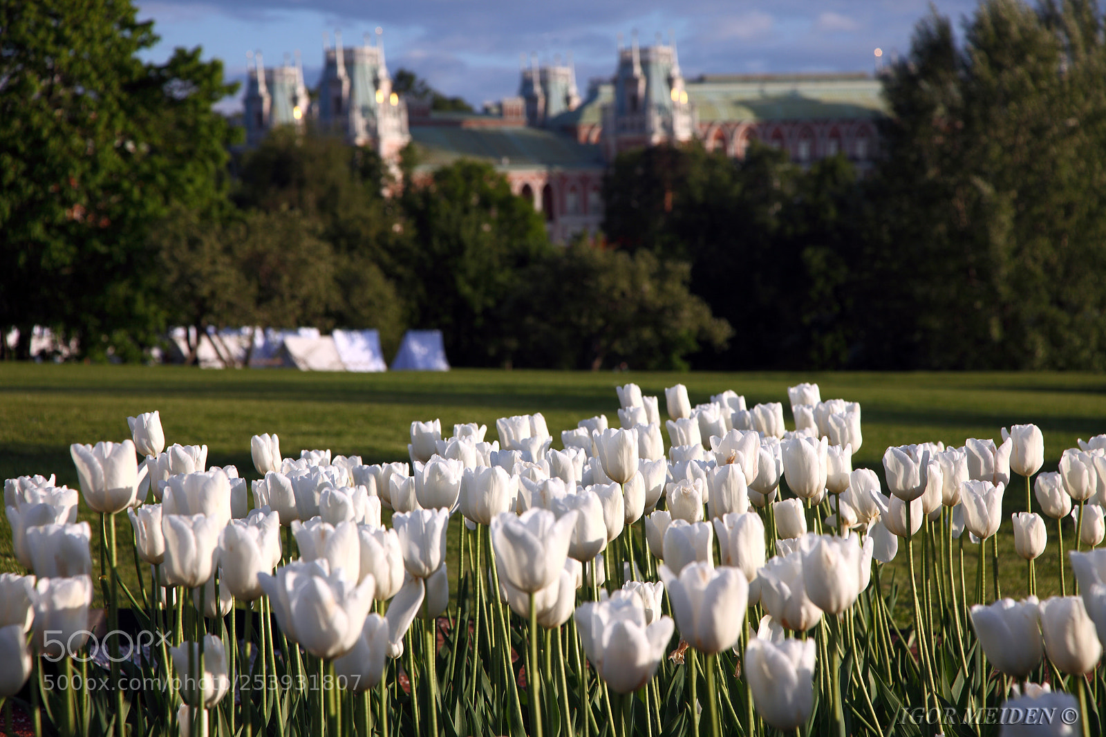 Canon EOS 5D Mark II sample photo. Moscow. park tsaritsyno photography